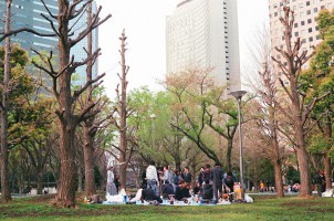 the last picnic