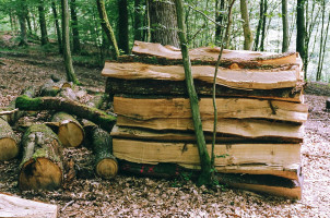 split wood